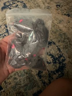***PENDING Small bag of mouse toys for cats