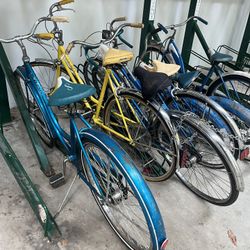 Any Bike There $50
