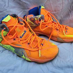 Nike LEBRON JAMES Six Meridians