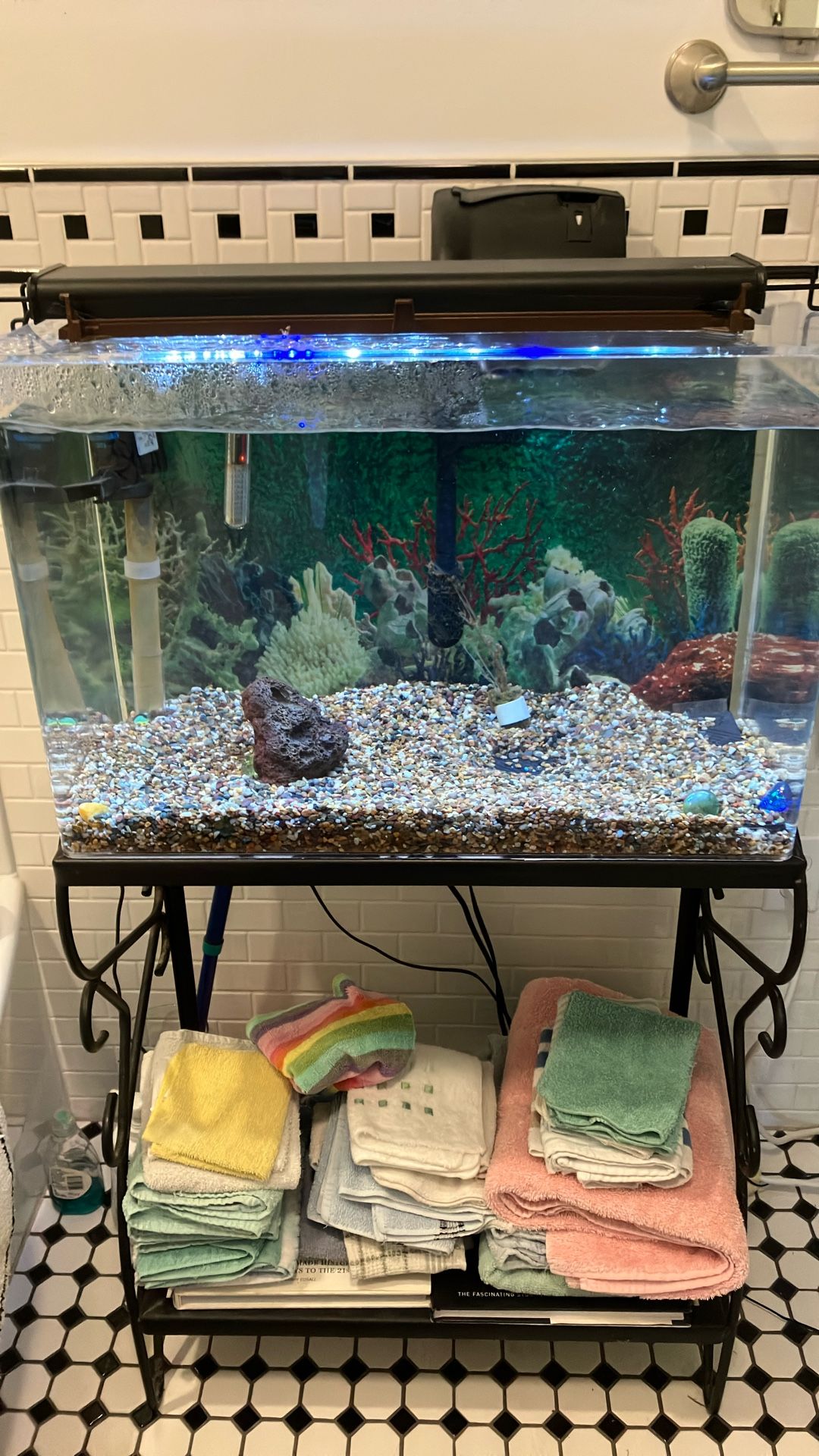 Aquarium 29 Gal. Up And Running With Nice Wrought Iron Stand With Room For Second Aquarium. All Equipment Included