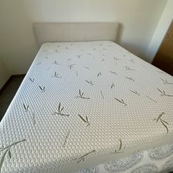 Queen Memory Foam Mattress 10”