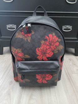 Men's Coach Backpack for $100 Firm (Placentia)