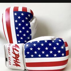 USA Boxing Gloves 