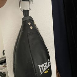 Punching Speed Bag 