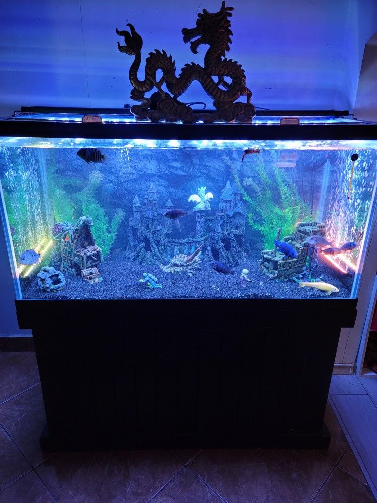 120 Gallon Fish Tank And Stand / Aquarium 