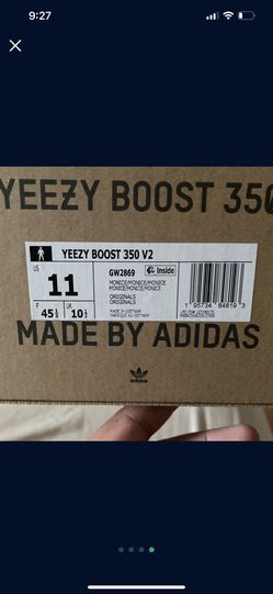 Yeezy Mono ice