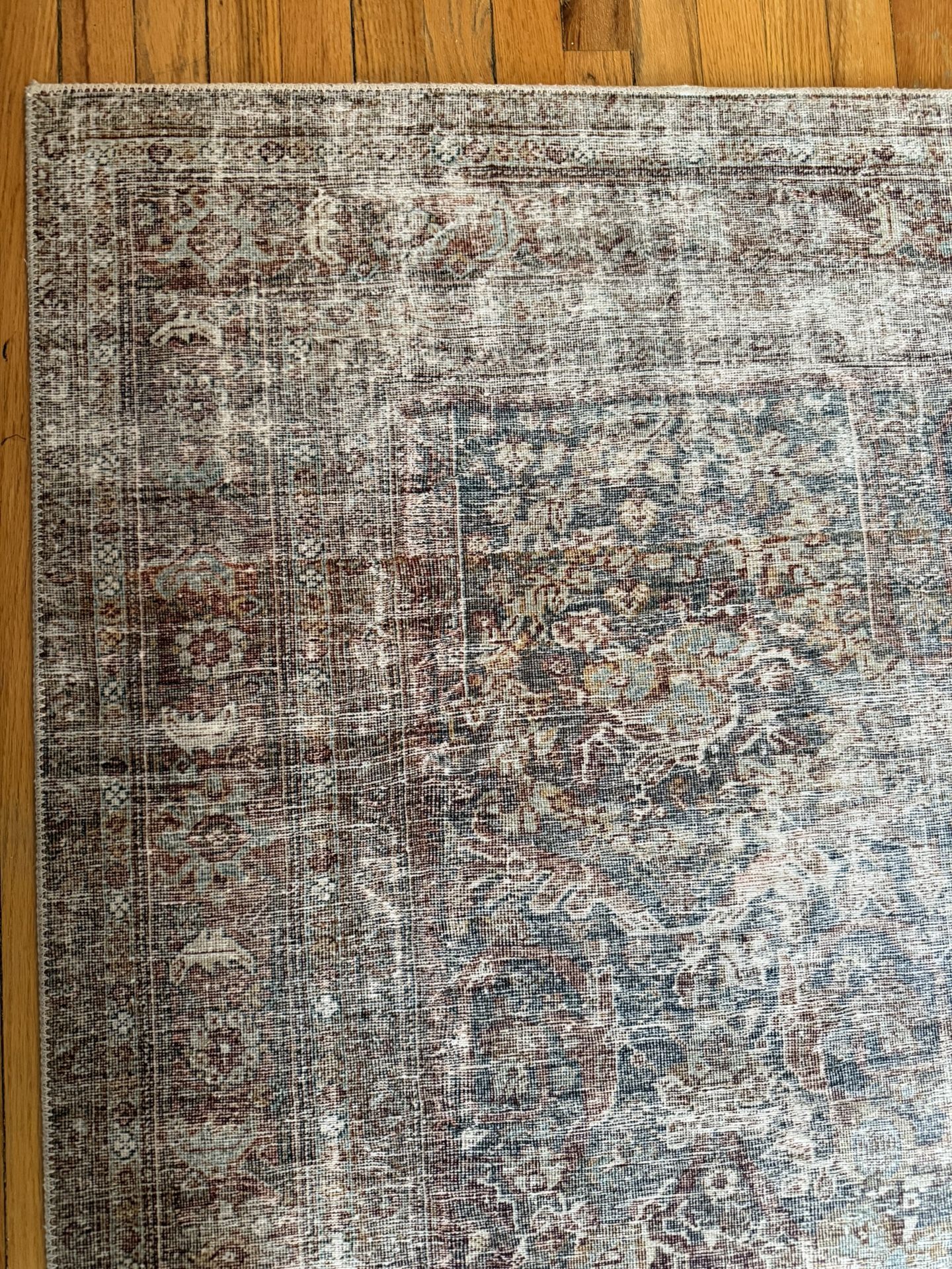 Living Room/ Area Rug