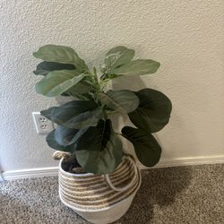 2 Faux Plants In Baskets 