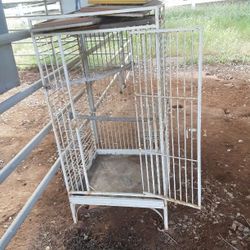 Price Reduced!!   1  Bird Cages Left And Supplies  $40