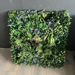 Plant Wall  - Faux