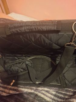 Pet suitcase