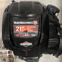 Briggs and Stratton 163 cc Engine