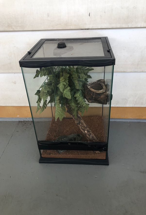 Small reptile cage for Sale in Saint Petersburg, FL OfferUp