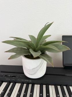 Fake Plant