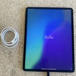 Ipad pro (12.9-inch) (5th generation) 1 TB storage