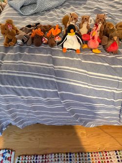 Beanie babies in excellent condition $3 each