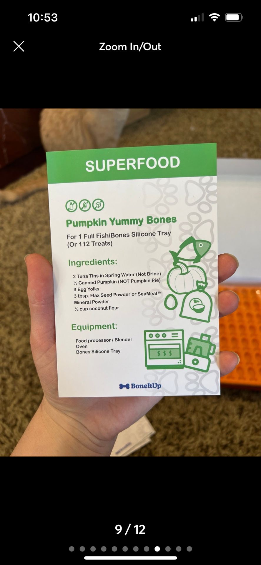 boneitup molds and recipes for cats kit