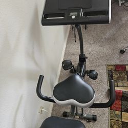 Wirk Exercise Bike And Standing Desk