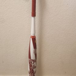 2023 25 oz Louisville Genesis "candy cane"