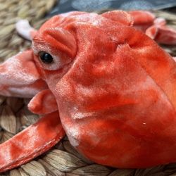 Ty Wiggly Beanie 200 Plushie 