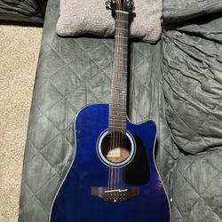 Takamine 12 String
