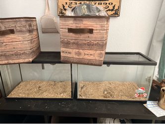2 10 gallon tanks with lid