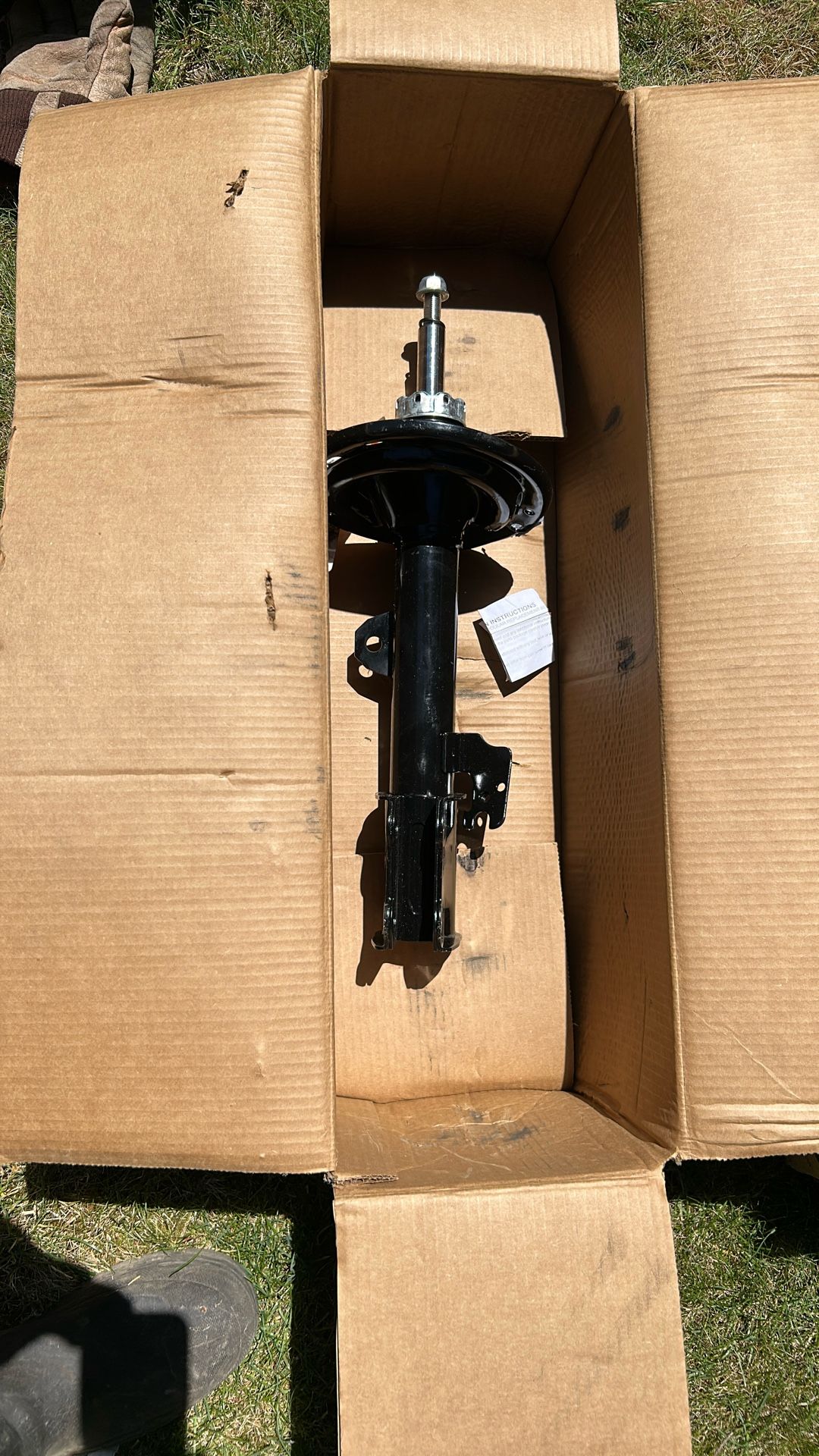 Strut Assembly