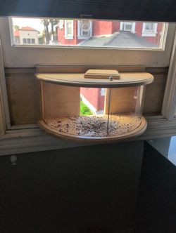 Window Bird Feeder 