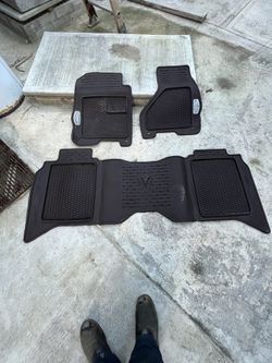 2015 Ram Longhorn Floor Mats 