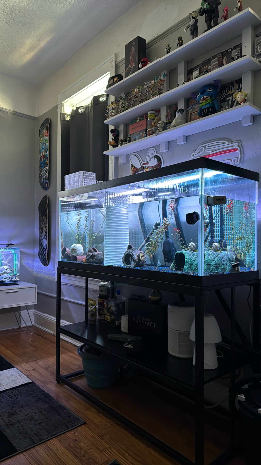 75 Gallon Tank (TANK ONLY )