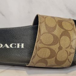COACH slides - Size 8W