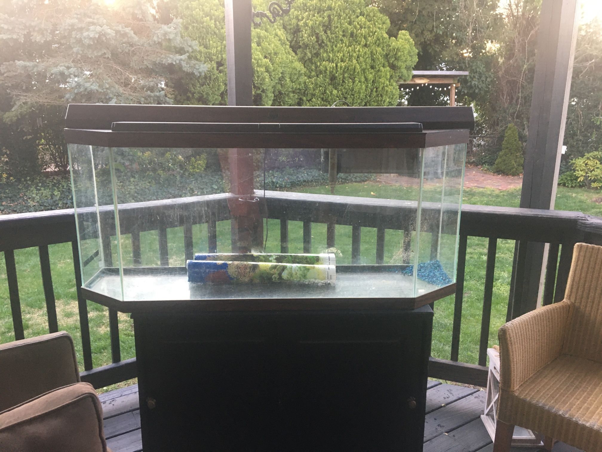 50 Gallon Fish Tank