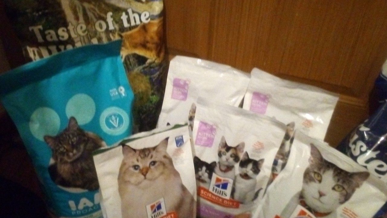 Lot's Of Quality Brand Dry kitten And Cat Food