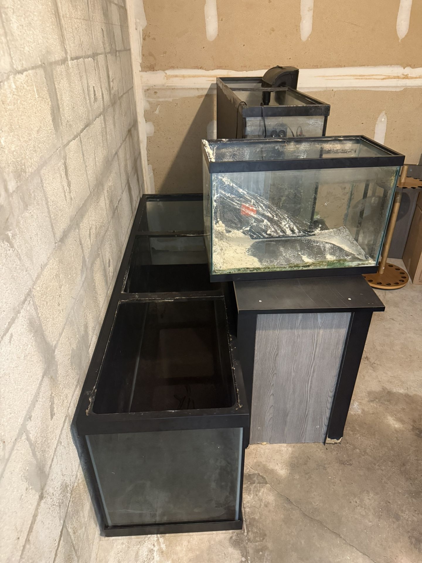 10 Gallon Fish Tank