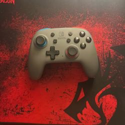 Nintendo Switch Nano Controller