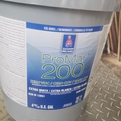 Fresh Paint Creme Of White I Have 19 Gallons Same Color Interior