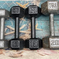 SET  OF  STEEL  DUMBBELLS  (PAIRS OF)  :  8s  12s  20s 