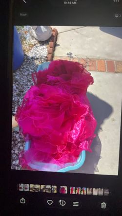 187 hot pink chairs bows