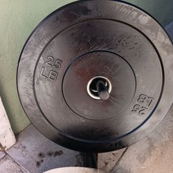 Bumper Weight Plates 25 Pounds 