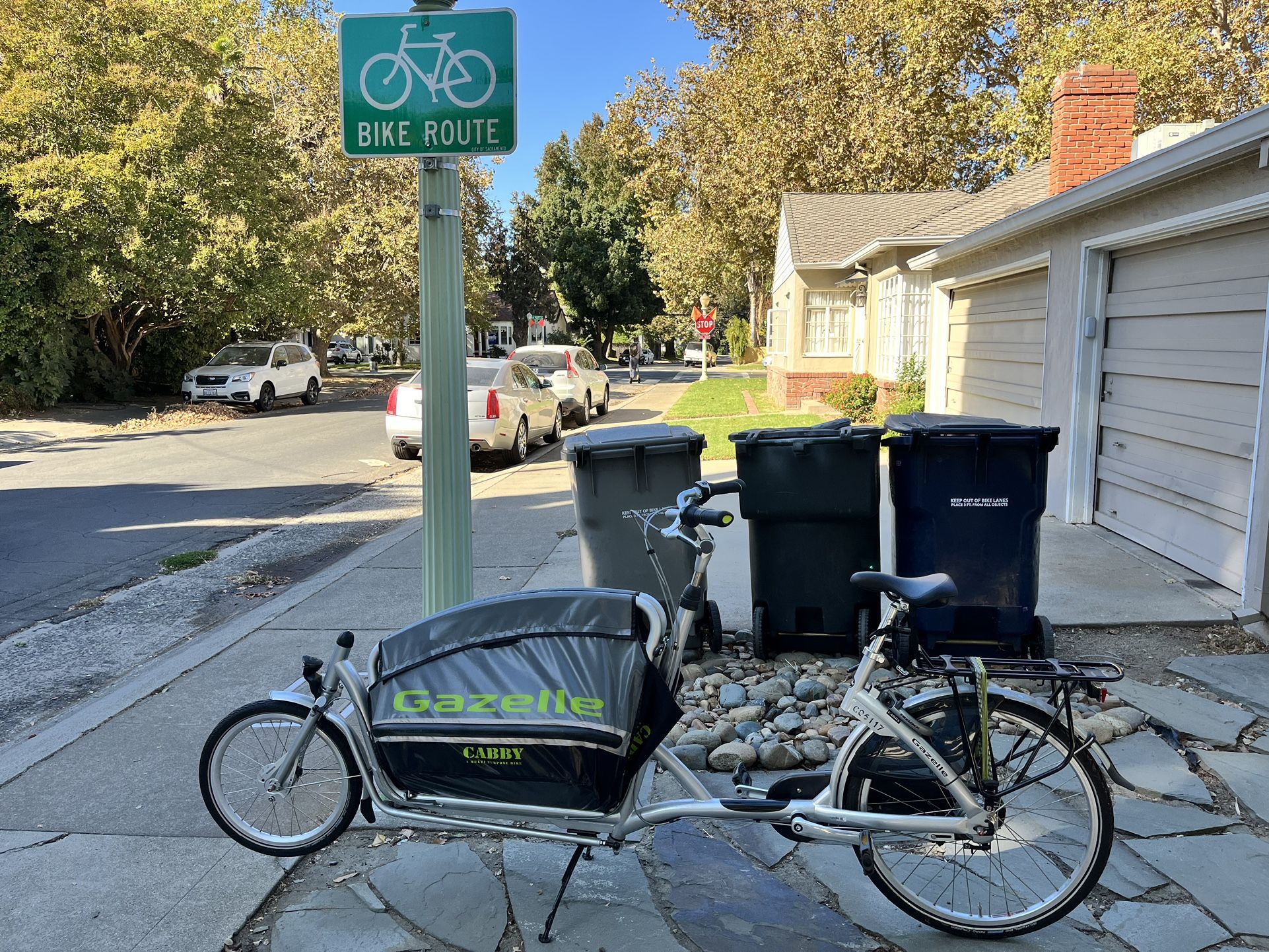 Gazelle Cabby Bicycle
