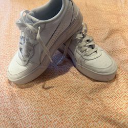 White Pumas 