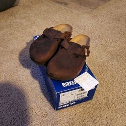38 Brand New Boston Birkenstocks Habana