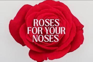 Roses for your Noses