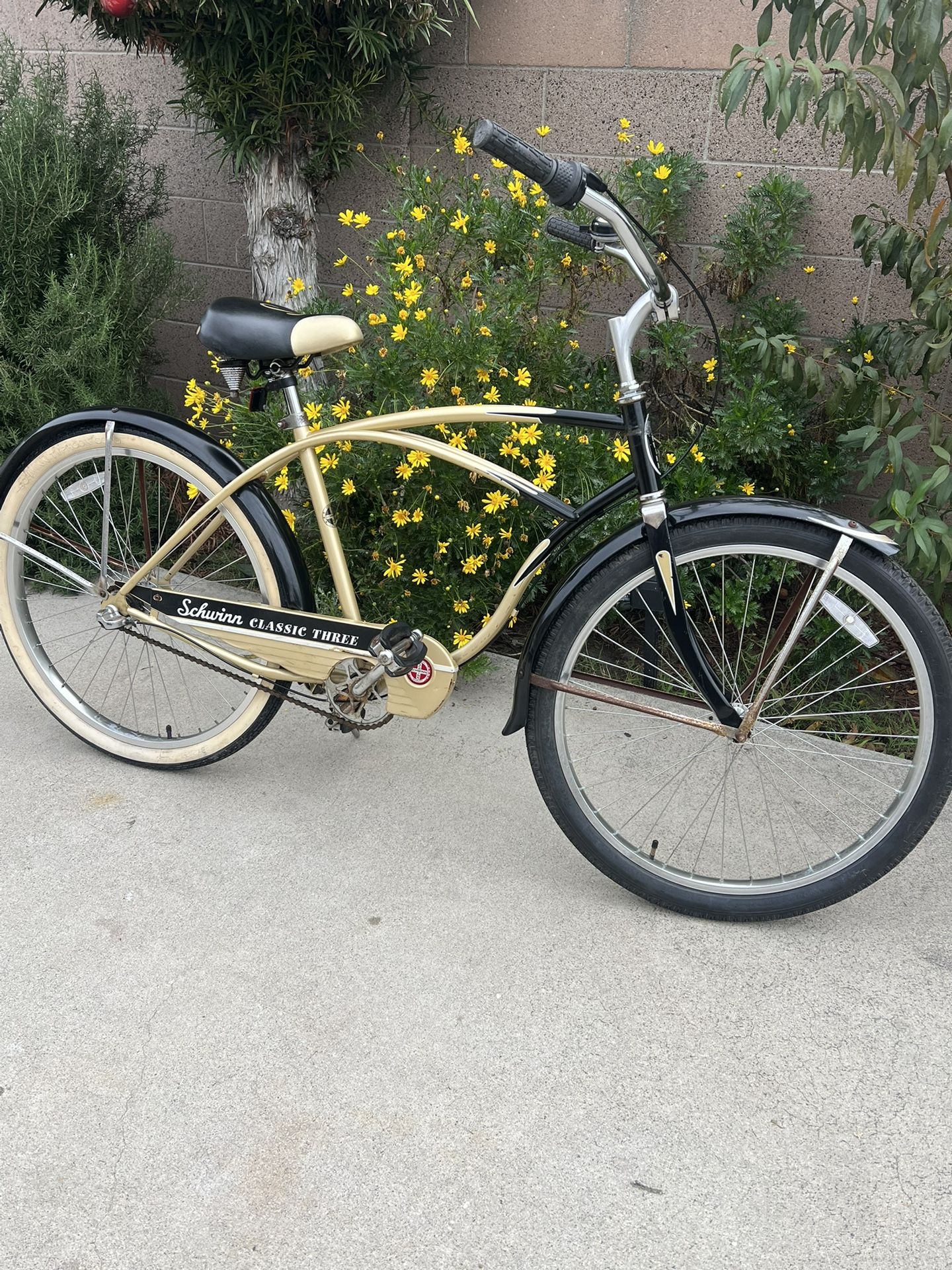 Vintage Schwinn Bike 