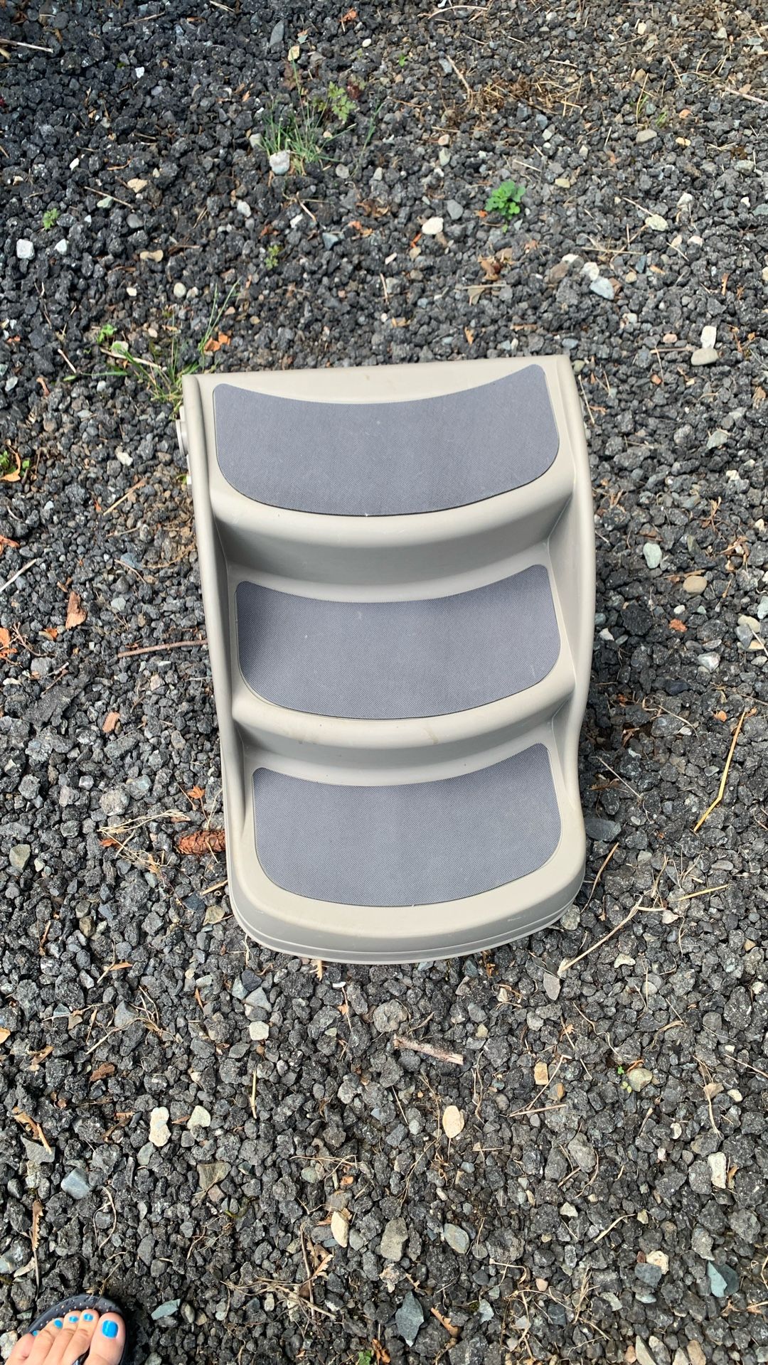 Pet Steps