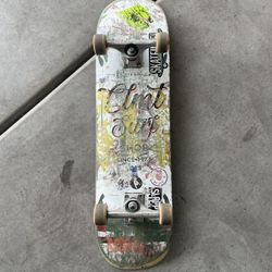 Skate Board