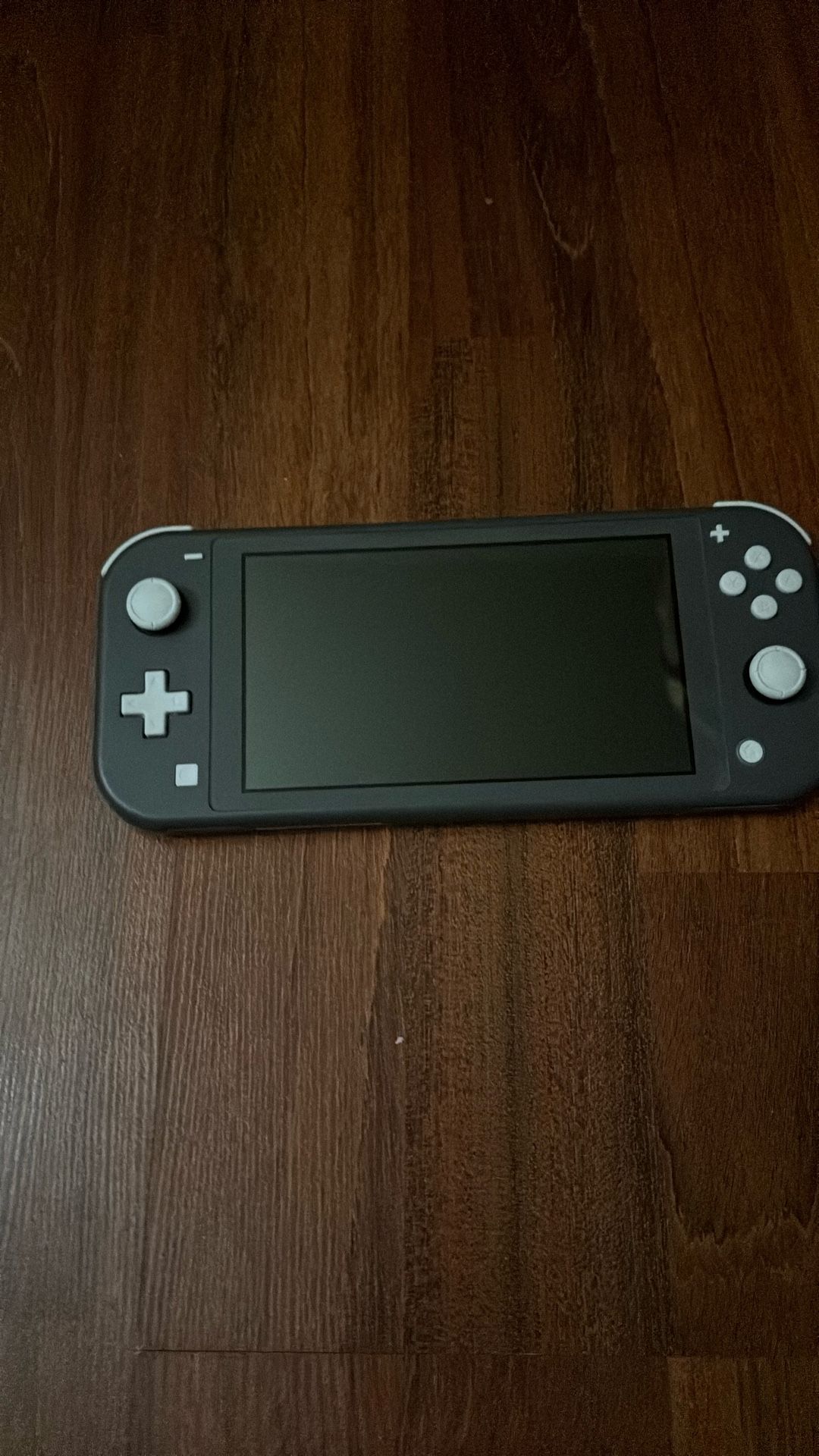 Nintendo Switch + Minecraft