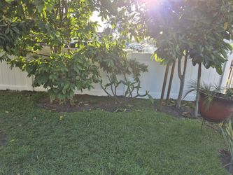 Vinyl Fence 