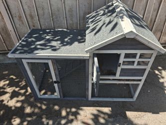 Chicken coup