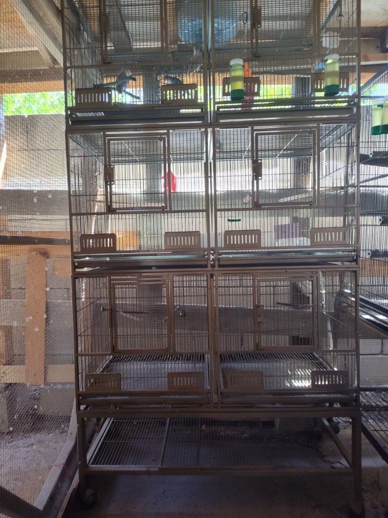 "BIRDS" Cage